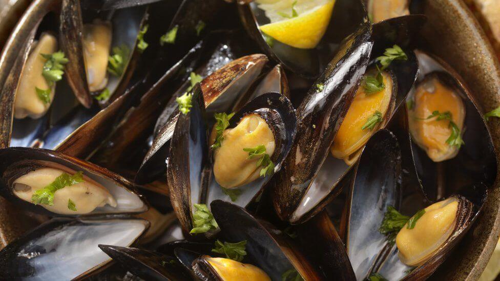 Mussels